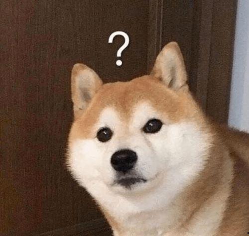 巴哥赤犬爆料了吗视频,背后惊人真相曝光 第1张 巴哥赤犬爆料了吗视频,背后惊人真相曝光 第1张