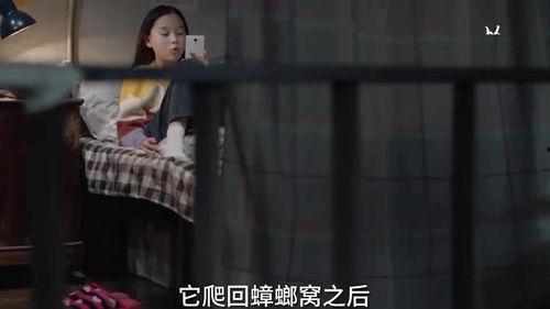 小孩爆料瞬间视频大全集,小孩爆料视频集锦回顾 第1张 小孩爆料瞬间视频大全集,小孩爆料视频集锦回顾 第1张