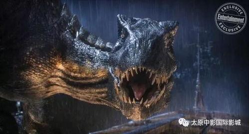 霸王龙爆料视频全集下载,揭秘史前巨兽的神秘面纱 第1张 霸王龙爆料视频全集下载,揭秘史前巨兽的神秘面纱 第1张